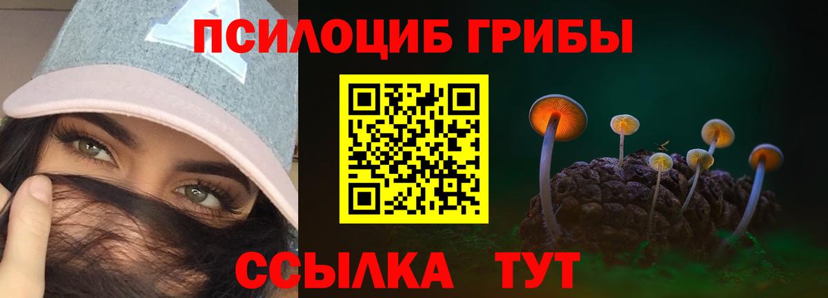 Петрозаводск  купить наркоту  Вход с VPN  Псилоцибиновые грибы Psilocybine cubensis 